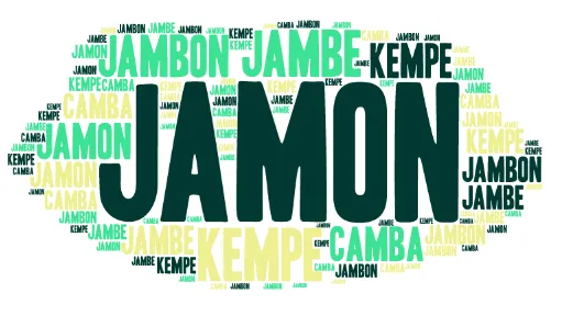 Hiszpania: Etymologia słowa jamón