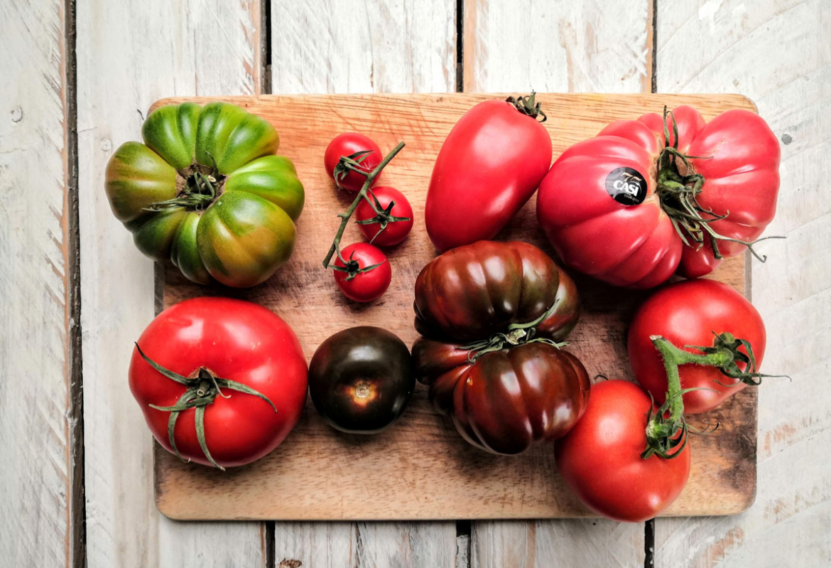 Encyklopedia pomidorów: Hiszpańskie pomidory